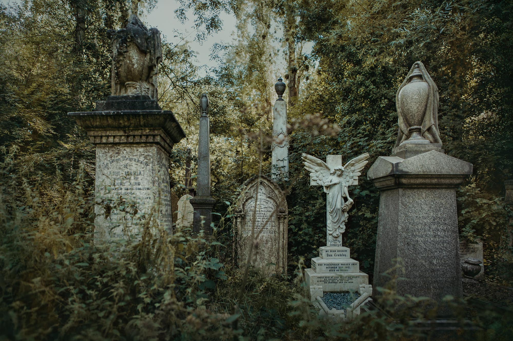 Kunstbilde av en tett og gjengrodd kirkegård med ulike forvitrede gravsteiner og monumenter, inkludert statuer og englefigurer. Høye trær og rikelig løvverk omgir og skjuler til dels gravene.